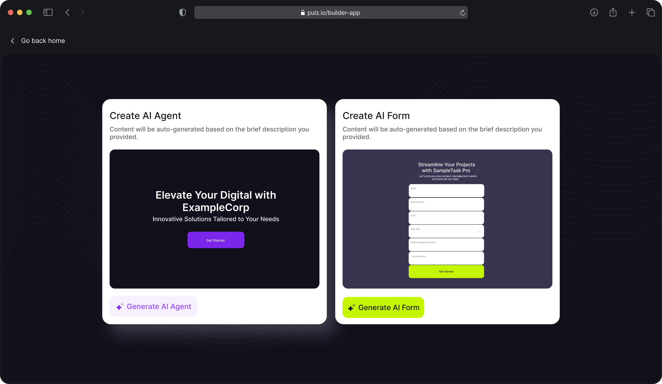 Pulz.io format selection screen, allowing users to choose between an AI Agent or an AI Form.