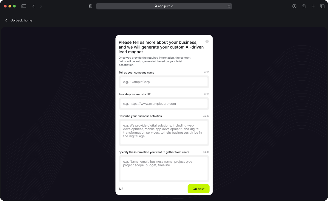 Pulz.io business information page where users can input their company name, website, and description to customize the lead magnet according to their business profile