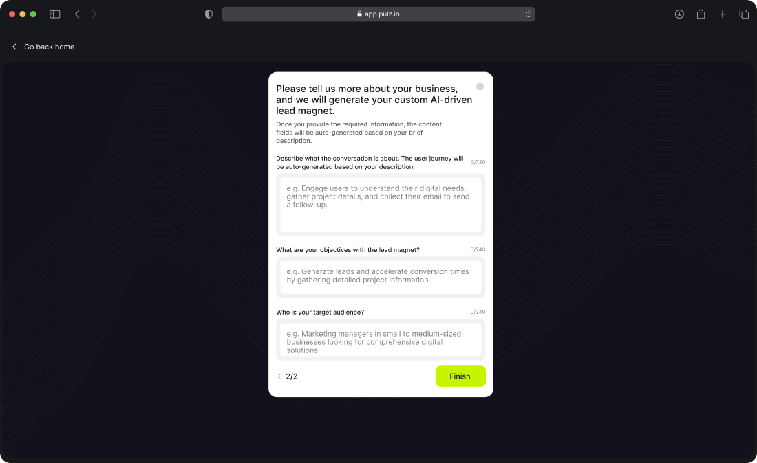 Pulz.io business information page where users can input their objectives, points for the conversation and target audience, website.