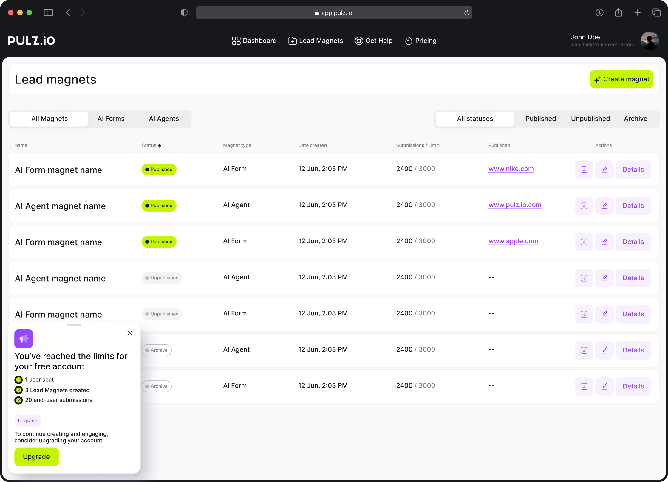 Pulz.io lead magnets section showcasing the basic version (Minimum Viable Product) of a lead magnet setup and generation.